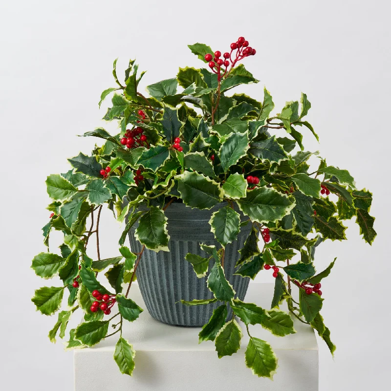 Variegated Green Holly Leaf & Red Berry Vine Christmas Urn Filler Outdoor Planter